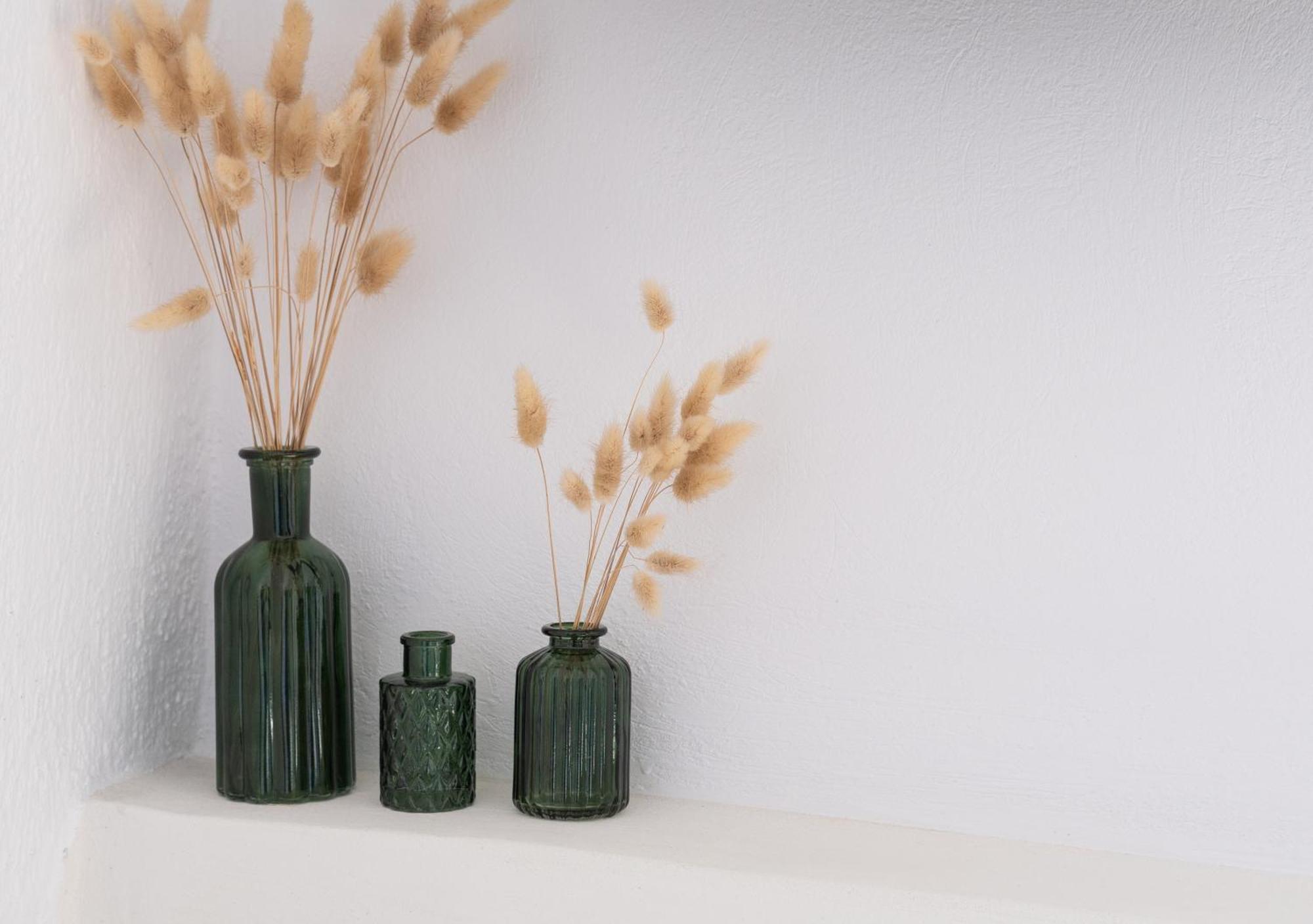 The Botanist Guesthouse Skopelos Buitenkant foto
