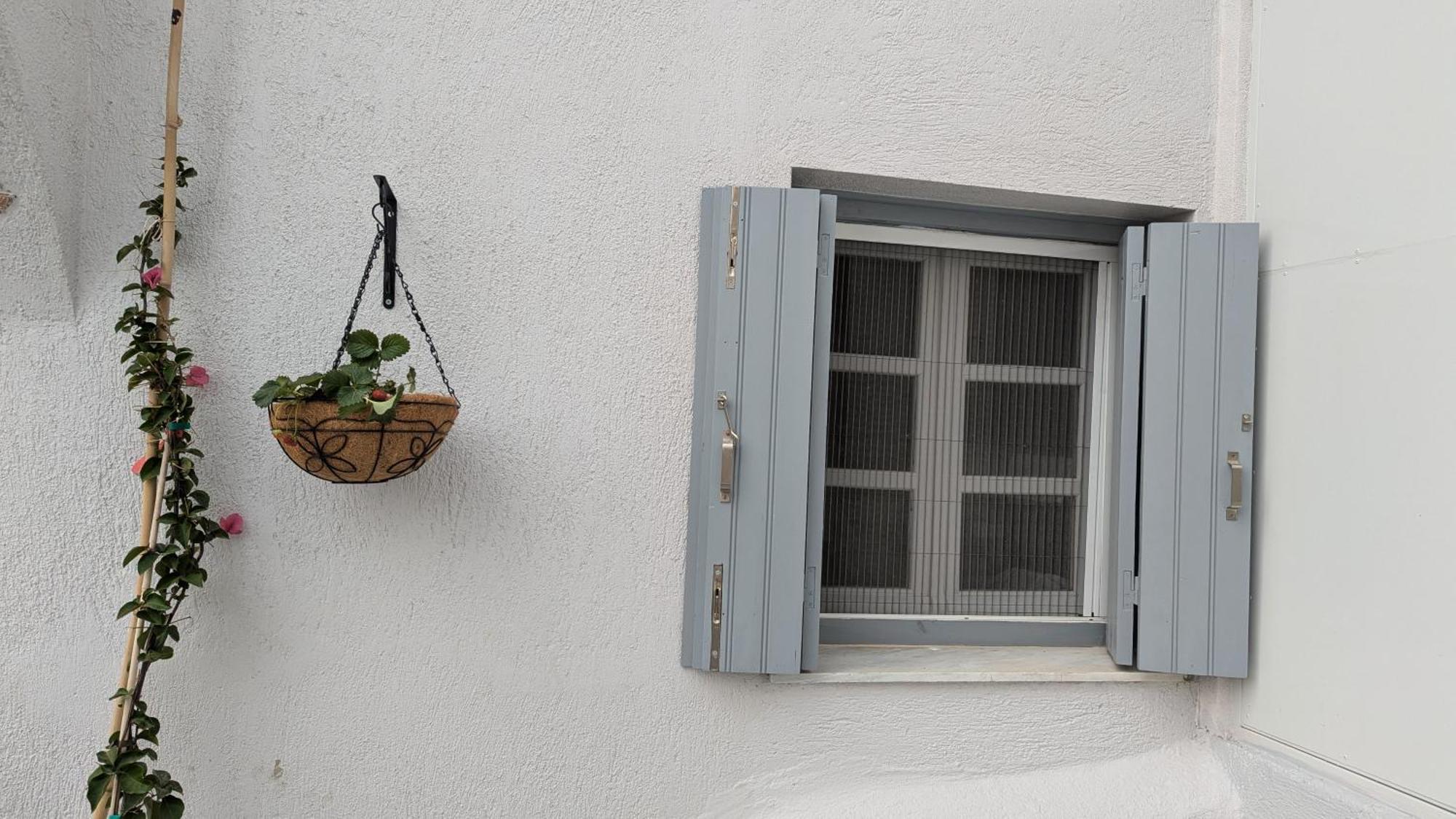 The Botanist Guesthouse Skopelos Buitenkant foto