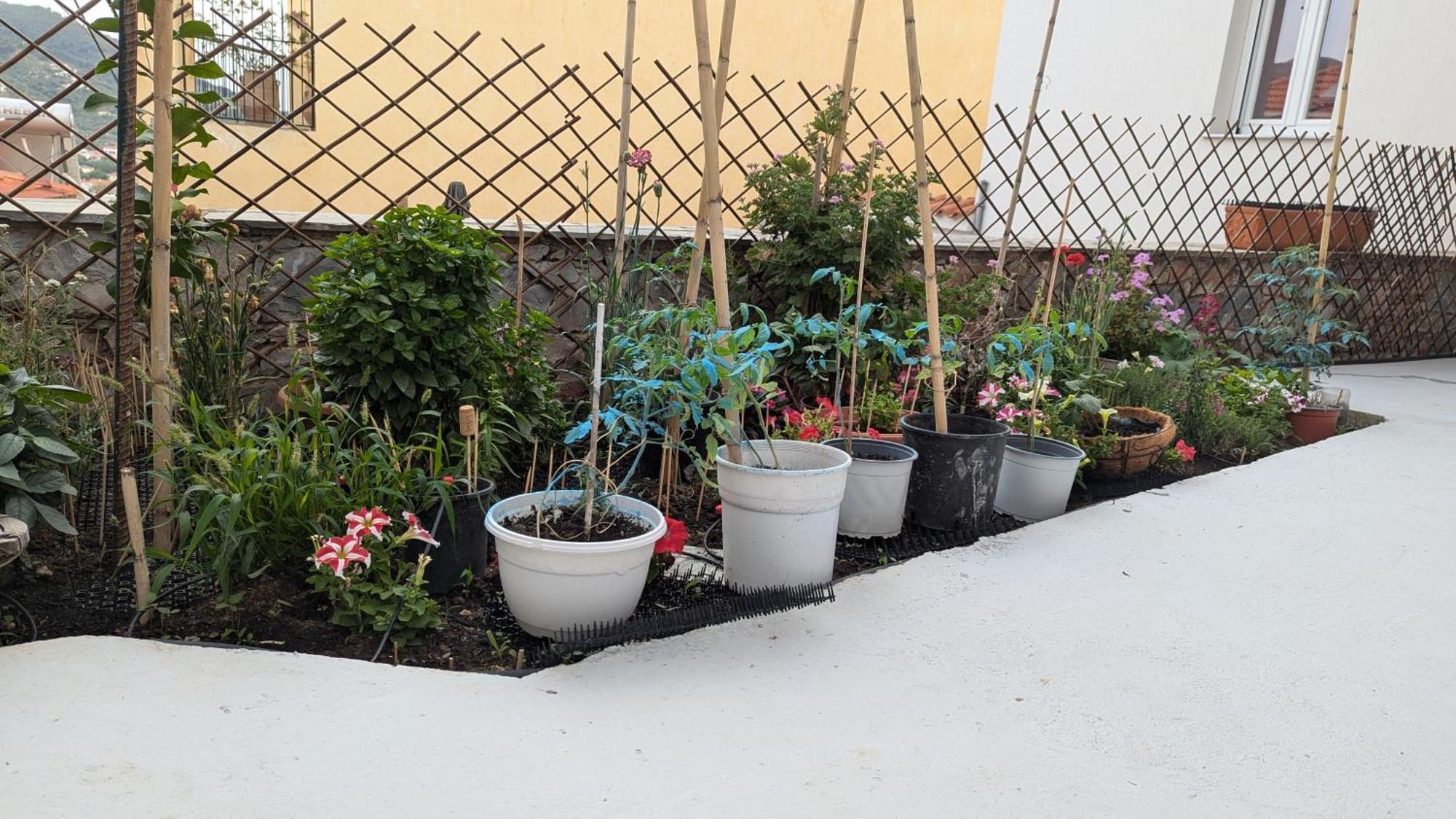 The Botanist Guesthouse Skopelos Buitenkant foto