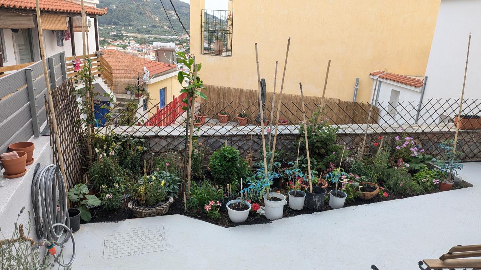 The Botanist Guesthouse Skopelos Buitenkant foto