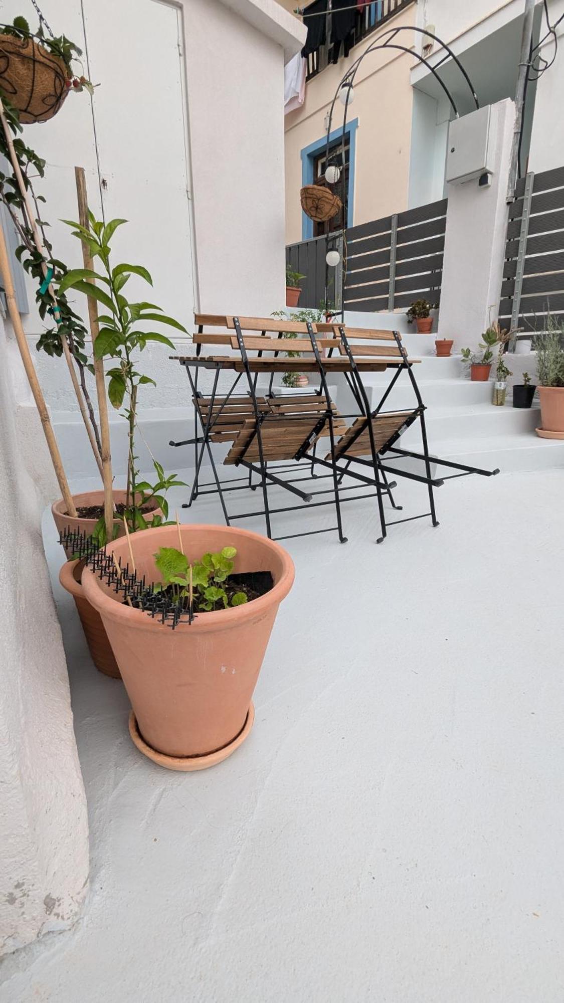 The Botanist Guesthouse Skopelos Buitenkant foto